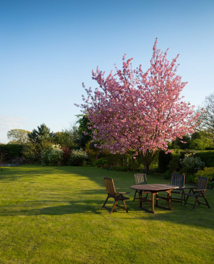 aménagement paysager - jardin fleuri avec table et cerisier