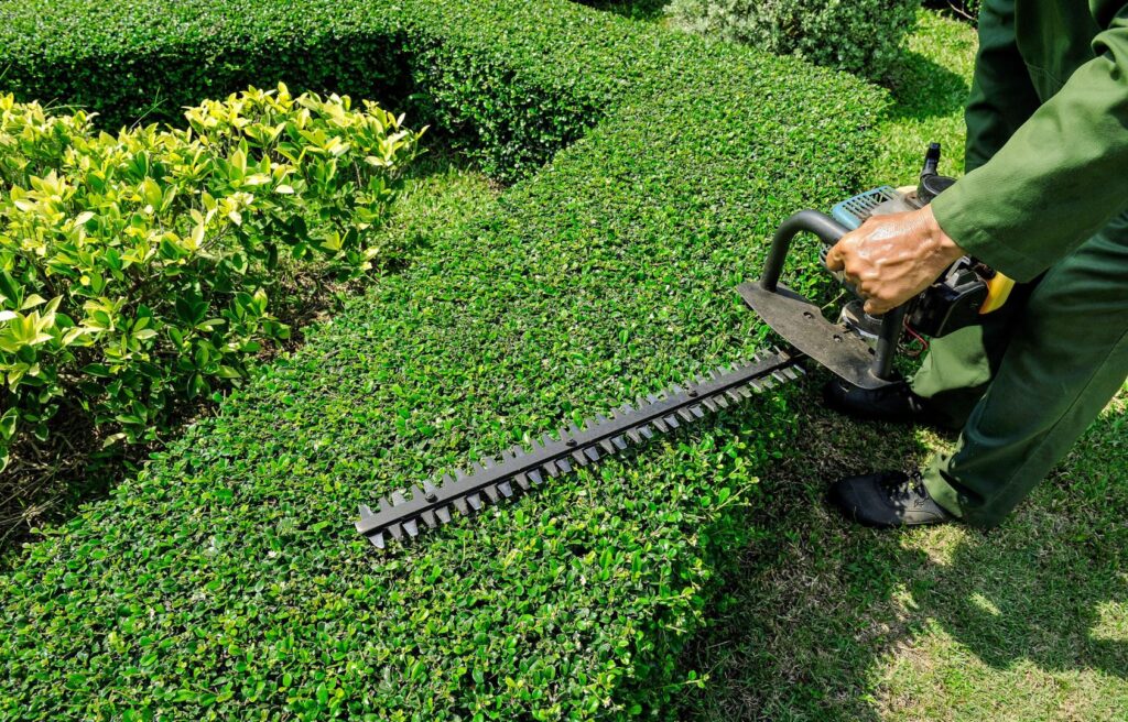 entretien espaces verts - taille buissons et arbres